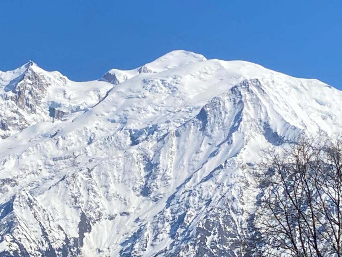 פאסי Les Edelweiss Mont-Blanc - Gite Classe 3 Etoiles מראה חיצוני תמונה